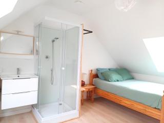 Lapostolle, proche centre, 3 chambres, 2 salles de bain - Amiens - 7