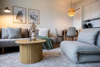 Stylish Novel Apartments in Lapland - Sauna & Balcony - 0