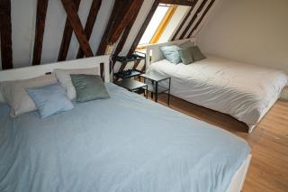 Stylish 2BR &1LR Apt, Prime Belgian Location - 5