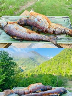 Check Inn Merisi Spa and Resort - Gundauri - 9
