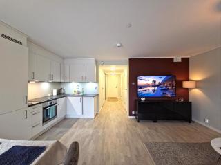 Modern brand new apartment - Kongsberg - 4