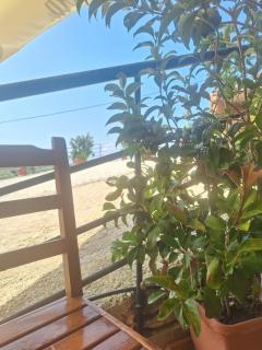 KAFUL APARTMENTS - Qeparo - 9
