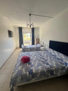 Les Lavandes - Saint-Cyr-sur-Mer - 4
