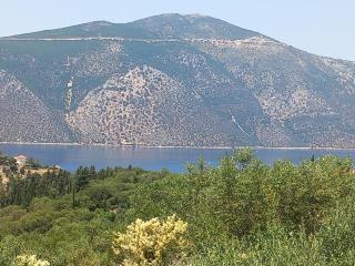 OLiVE HOUSE - Vathi - 1