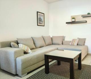 Orient Apartman - Sremska Kamenica - 9