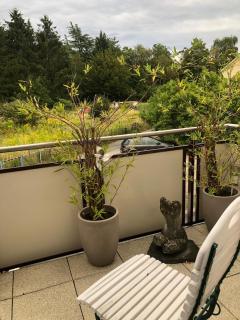 Bella Casa am Rhein - Bad Honnef - 2