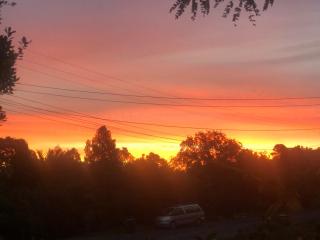 Queens Drive - Oneroa - 5