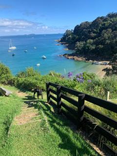 Queens Drive - Oneroa - 7