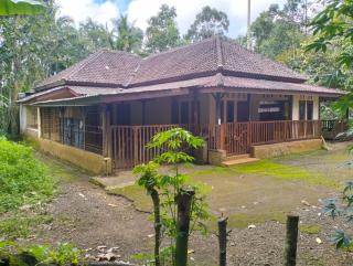 Villa Ndelik Ijen - Kalibendo - 9