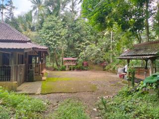 Villa Ndelik Ijen - Kalibendo - 4