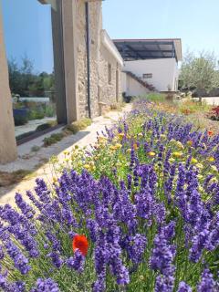 Casa D'Augusta - Agroturismo - Miranda del Duero - 7