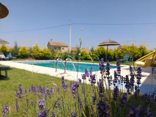 Casa D'Augusta - Agroturismo - Miranda del Duero - 8