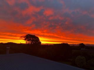 Dara Vineyard Cottage - Martinborough - 7