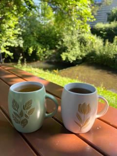 Hotel Hirsch - Fluorn - 8