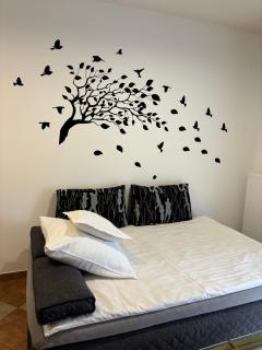 Apartament Wierzbna - Augustów - 8