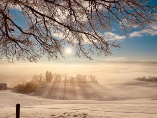 Frühstückspension Bilgeri - 4