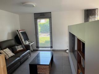 Maison Annecy - Chavanod - 8