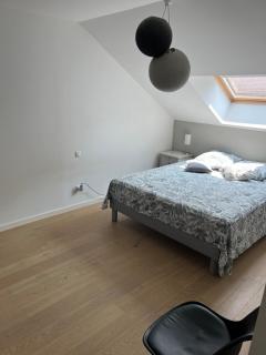 Maison Annecy - Chavanod - 4
