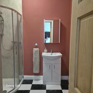 Glenbarrow Lodge - Rosenallis - 4