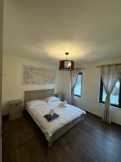 Grand Lake House - Giurcuţa de Sus - 8