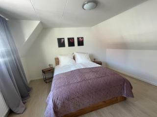 Wendy's Tiny Beachhouse - Noordwijk - 3