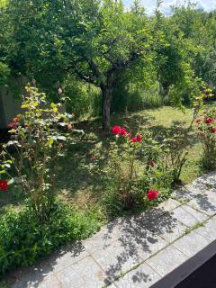 Vikendica Mali Pozarevac - 4