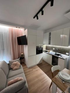 Studio luxury - Tirana - 5