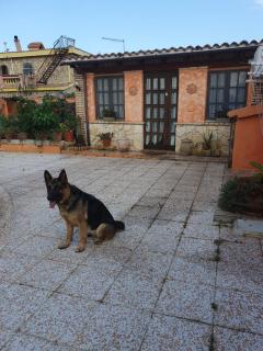 Casa Elisa - Flumini di Quartu - 9