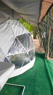 สวนบ้านเราแคมป์ Our Garden Camp - - 7