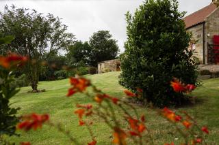 Spangle Cottage, Borrowby Farm Cottages - Staithes - 9