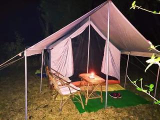 Chitwan Bamboo lodge - Chitwan - 0