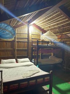Chitwan Bamboo lodge - Chitwan - 5