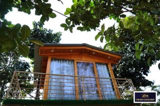 OKO Resort Chandigarh !! Cottages ! Swimming Pool ! Play Area ! Restaurant ! Banquet ! Best option for Calm and Peaceful Stay - Chandīgarh - 8