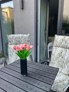 SALVIA II exklusiv & smart & Terrasse II Dein City-Apartment - Braunschweig - 8