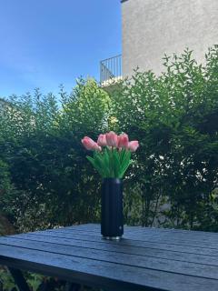 SALVIA II exklusiv & smart & Terrasse II Dein City-Apartment - Braunschweig - 9