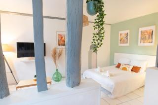 Le Panama - 5 min du centre, 500m2 de jardin - 1