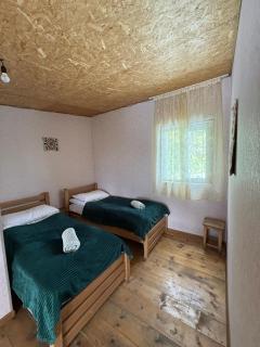 Guest house Sargiri - Omalo - 1