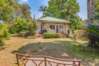 Tarran - Tamborine Mountain - 5