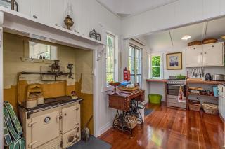 Tarran - Tamborine Mountain - 2
