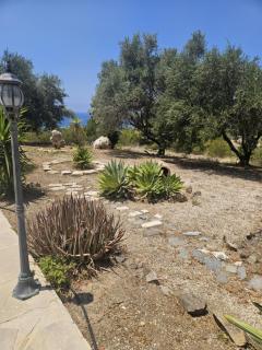 Kallithea Villa - Kato Yialia - 4