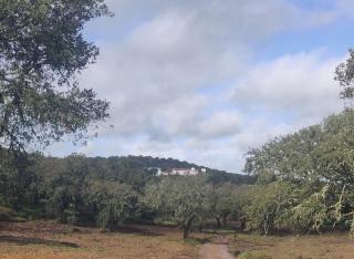 Monte do Roque - 9