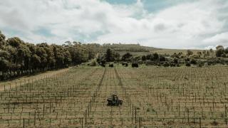 13 Olives, Entire Grape & Olive Estate, Somerset West by Euphoric Leisure - - 8