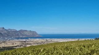 13 Olives, Entire Grape & Olive Estate, Somerset West by Euphoric Leisure - - 5