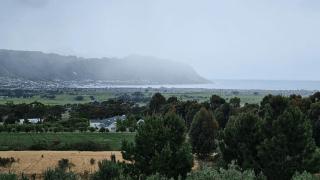 13 Olives, Entire Grape & Olive Estate, Somerset West by Euphoric Leisure - 4