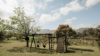 13 Olives, Entire Grape & Olive Estate, Somerset West by Euphoric Leisure - - 2