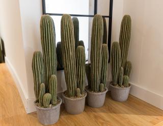 Modern and wide- 3Bd 2,5 Bth- Plaza Castilla - Madrid - 4