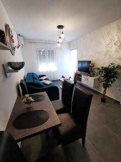 Apartman Goga 1 - Veliko Gradiste - 9