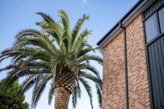 Architectural Home: Near Gorge with Tamar Views - Launceston - 2