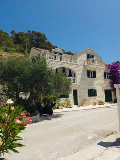 Apartments Renata - Pučišća - 5