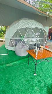 สวนบ้านเราแคมป์ Our Garden Camp - - 9